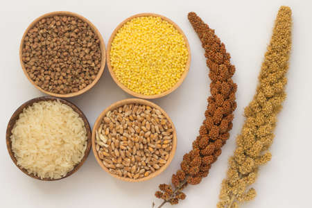 Twig red millet, yellow millet twig. Buckwheat, millet, rice and wheat in wooden boxesの写真素材