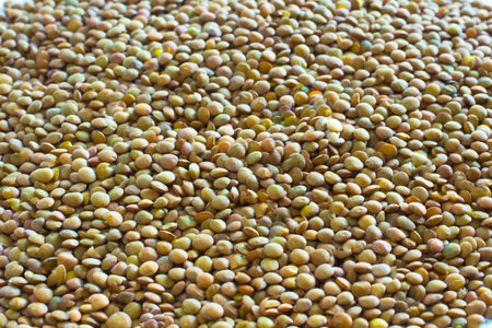 Brown lentils close up