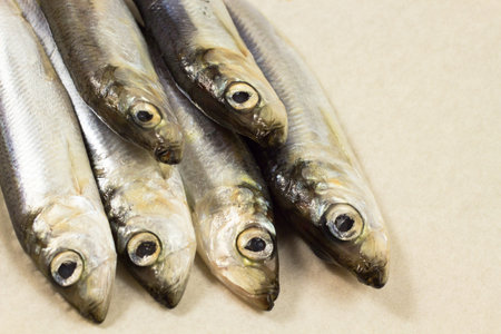 Marine fish herring on a beige backgroundの写真素材