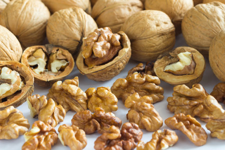 Walnut kernels and crushed nuts on a white backgroundの写真素材