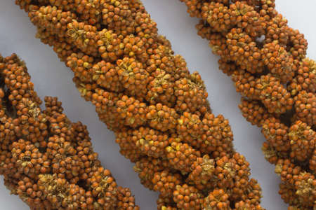 Red millet on silver gray background. top viewの写真素材