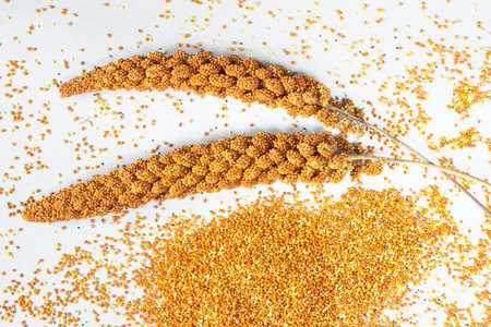 Red millet on silver gray background. top viewの写真素材