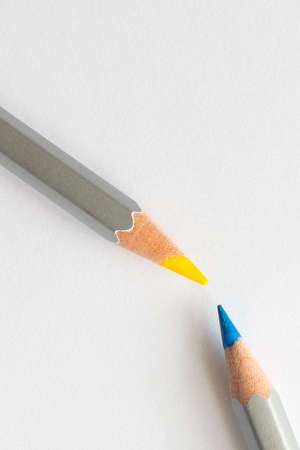 Blue and yellow pencils on a white backgroundの写真素材