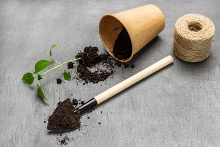 Garden shovel with soil. Green sprout with soil, paper cup. gray background.の写真素材
