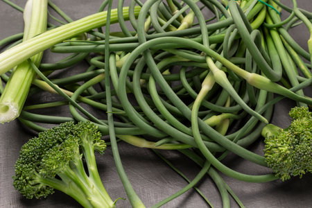 Green shoots of garlic and broccoli, celery stalks. gray background. top view.の写真素材
