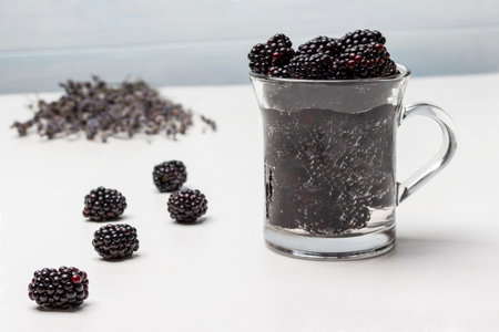 Infused berry drink. Blackberries on the table. close up. white background.の写真素材