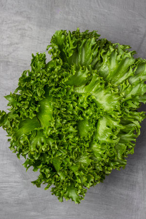 Green lettuce leaves on grey. copyspace. flat lay. nature background.の写真素材