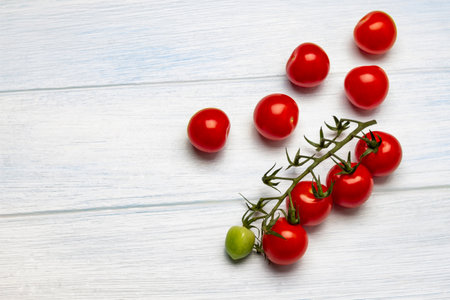Branch of tomato. copyspace. white background. top viewの写真素材