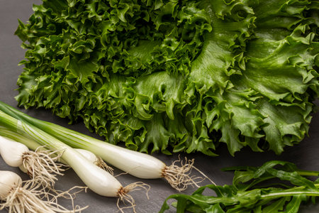 Green lettuce leaves, fresh green onions with roots and arugula leaves. close up. gray backgroundの写真素材