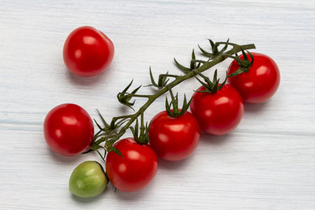 Branch of tomato on a white background. top viewの写真素材