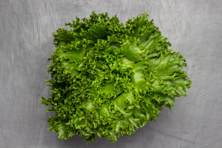 Green lettuce leaves. flat lay. copyspace. gray background.の写真素材