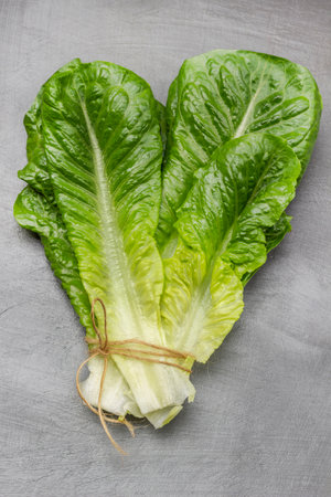 Green lettuce leaves tied with thread on a gray background. flat lay.の写真素材