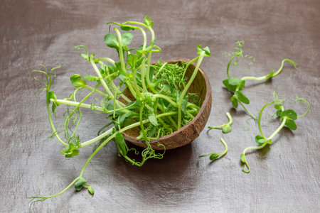 Pea sprouts in a coconut shell. copyspace. brown background.の写真素材