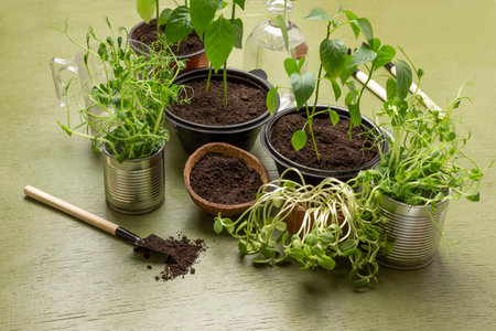 Pots with seedlings, a bottle of water and a shovel with soil. green background.の写真素材
