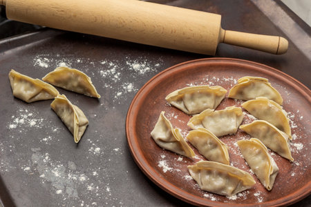 Rolling pin and raw gyoza dumplings on ceramic plate on rusty tray sprinkled with flour. top viewの写真素材