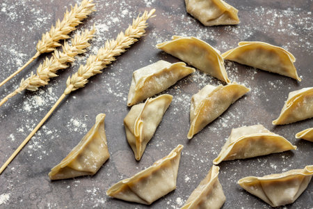 Raw gyoza dumplings, sprigs of wheat on rusty tray sprinkled with flour. top viewの写真素材