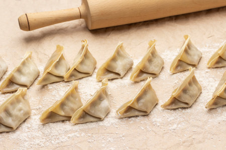 Raw gyoza dumplings and rolling pin on floured paper. top viewの写真素材