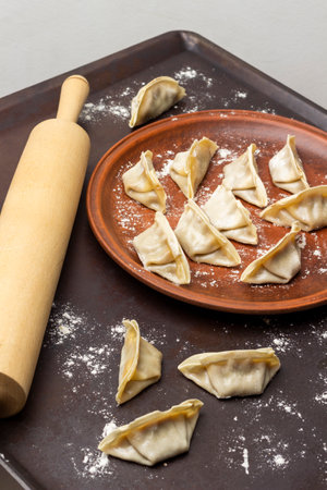 Raw gyoza dumplings on ceramic plate. Rolling pin and gyoza, on rusty tray sprinkled with flour. top viewの写真素材