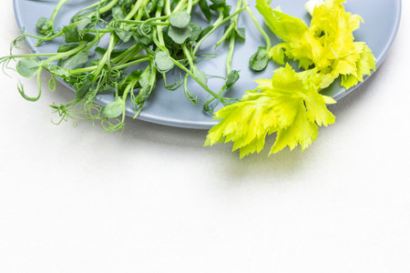 Pea sprouts and celery leaves on gray plate. copyspace. flat lay. white backgroundの写真素材