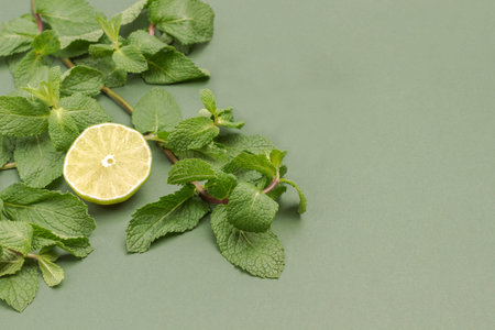 Lime and mint on green background. Copy space. Top view. Alternative cold and flu remedy. Health...