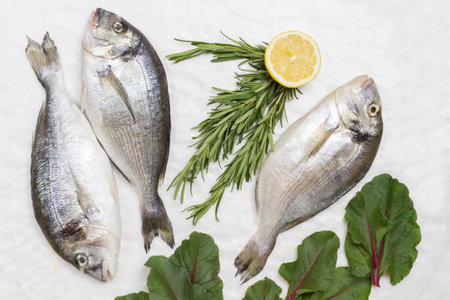 Raw fish with lemon, rosemary sprigs and chard leaves. White background. Flat layの写真素材