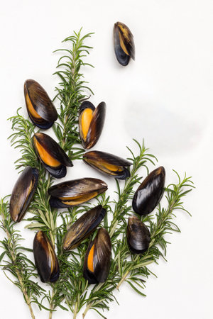 Mussels with rosemary on table. Water in glass bowl. Copy space. White background. Flat layの写真素材