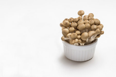 White and brown Shimeji mushrooms in ceramic bowls. White background. Top viewの写真素材