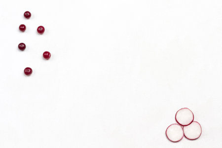Cranberry, mint and chopped radish on white. Menu background. Copy space. Flat layの写真素材