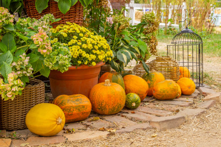 Orange Pumpkins on a Stone Floor. Flowers and Potted Plants in Wicker Baskets.の写真素材