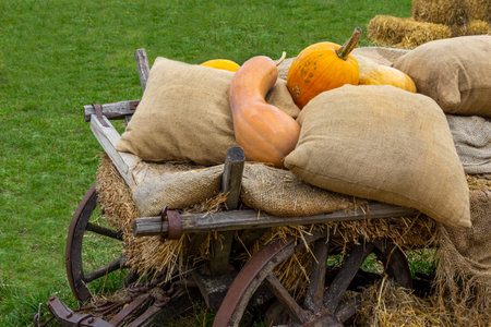 Old peasant cart with hay, sacks on a green meadow. Yellow pumpkins on sacks.の写真素材