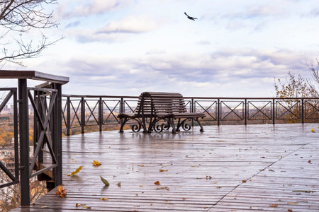 Terrace with wooden floor in the park. Two benches and yellow leaves on the floor. Blue sky in clouds.の写真素材