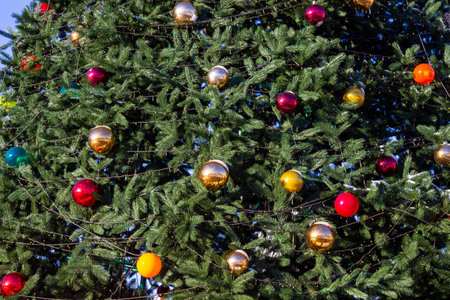 Colored balls on a Christmas tree. Part of the frame.の写真素材