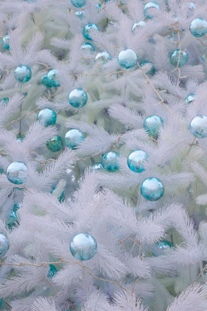New Year composition with branches of a silver fir tree with New Year's turquoise toys. Part of the frame.の写真素材