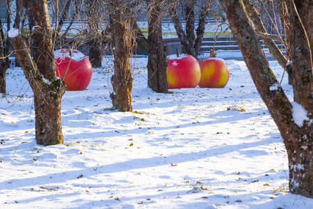 Installation of artificial apples in a fruit garden. Large red apples on the snow among the trees.の写真素材