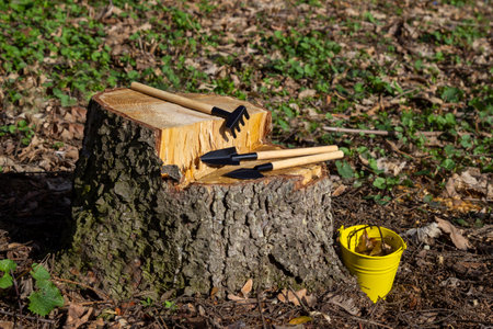 Tools for planting small indoor plants. Yellow bucket, shovel, rake and scoop on a stump. Close up.の写真素材