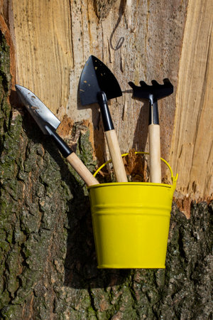 Shovel, rake and scoop in yellow bucket against tree trunk background. Close-up.の写真素材