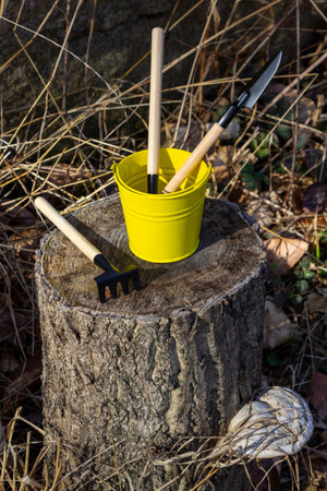 Installation of garden tools for planting on a stump. Yellow bucket, shovel, rake and scoop. Top view.の写真素材