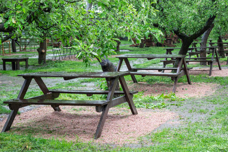 Wet wooden tables in the garden under the trees after the rain. Recreation areaの写真素材