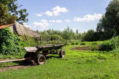 Cart on a green meadow. Old barn roof and wooden fences.の写真素材