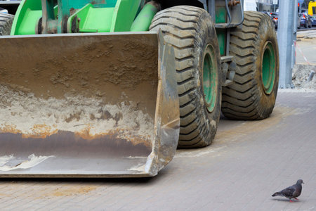 Excavator bucket and two wheels. Pigeon on asphalt. Road repair works.