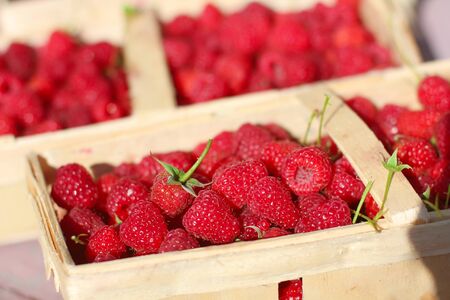 Red raspberries. Healthy and tasty food. Raspberry close-up on the table. Ripe red berry. Raspberries in basket on the tableの写真素材