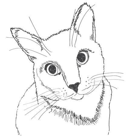 Portrait of a  with a black stroke on a white background.のイラスト素材