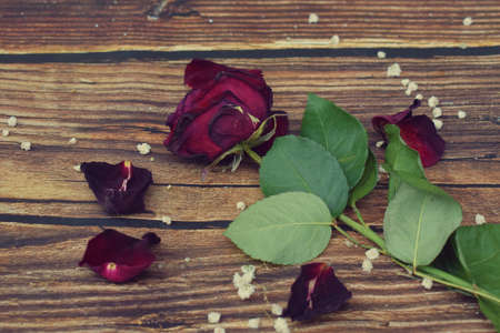 A wilted rose on a wooden background, an old flower. High quality photoの写真素材