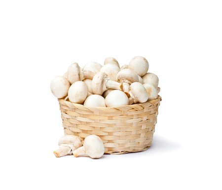 heap  of fresh mushroom champignons in a basket isolated on white backgroundの写真素材
