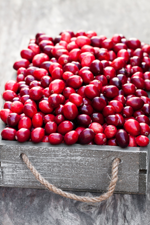 fresh  cranberry in a wooden box on rustic table の写真素材
