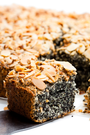 Poppy  seed pie freshly baked isolated on white の写真素材