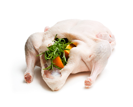Raw whole  duck stuffed with orange and rosemary isolated on whiteの写真素材