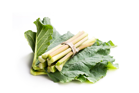 Fresh  rhubarb isolated on whiteの写真素材