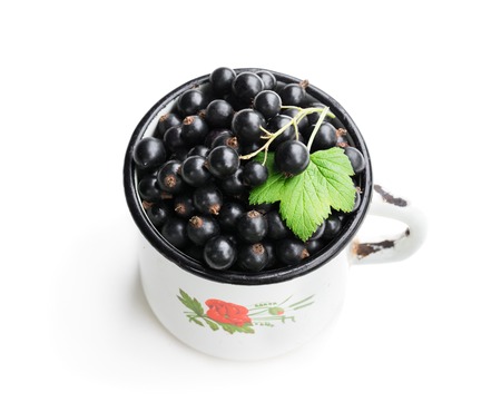 Fresh  black currant in old white mug isolated on whiteの写真素材