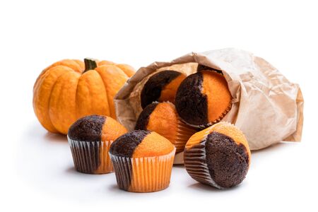 Fresh  pumpkin and chocolate minimuffins with pumpkin isolated on whiteの写真素材